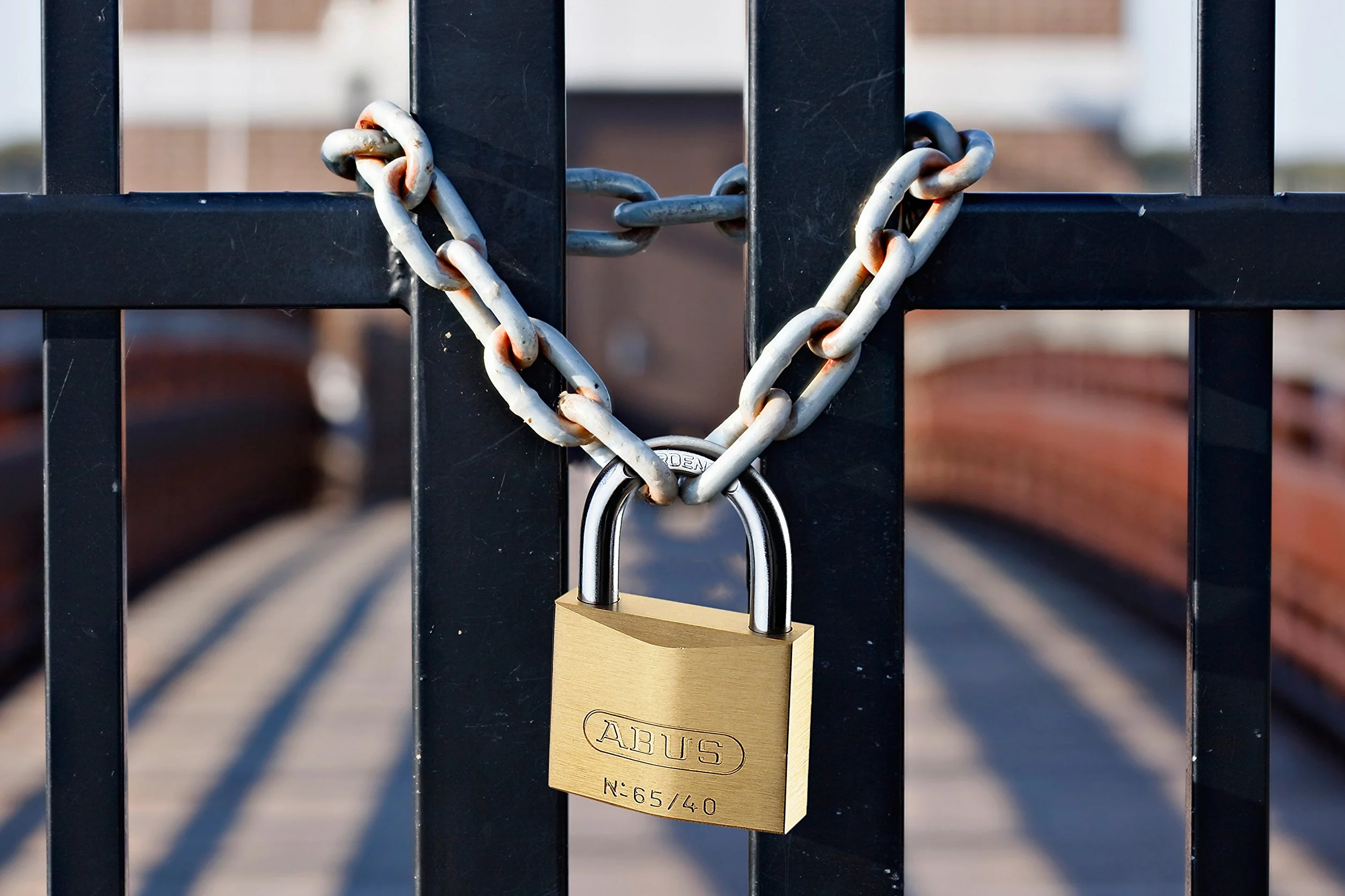 ABUS Lucchetto in Ottone 65/30BH60 con Arco Alto - Lucchetto Cantina, Armadietto e altro - Corpo in Ottone - Arco in Acciaio Temprato - Livello Sicurezza ABUS 4