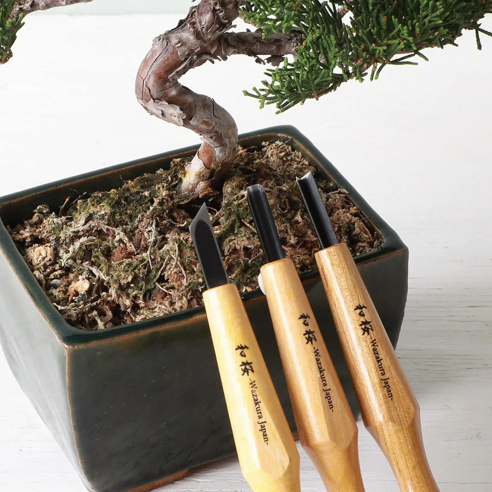 Wazakura Set di Attrezzi per la Creazione di Jin e Shari per Bonsai con Sgorbia Rotonda, Smussato a Singolo Angolo e a V, Lavorazione del Legno (Kit da 3 Pezzi per Jin e Shari per Bonsai)