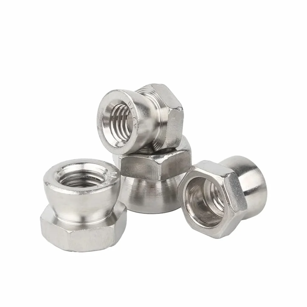 Dado a Mano 2-10 Pezzi M6 M8 M10 M12 Acciaio Inossidabile 304 Dado a Strappo