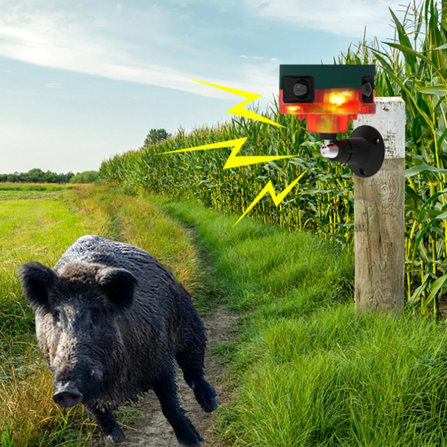 Allarme Sensore Di Movimento Solare - Sensore Di Movimento Sensore Di Luce | A LED Solare, Di Sicurezza Del Sensore Di Movimento Solare Regolabile Suono Forte Per La Fabbrica