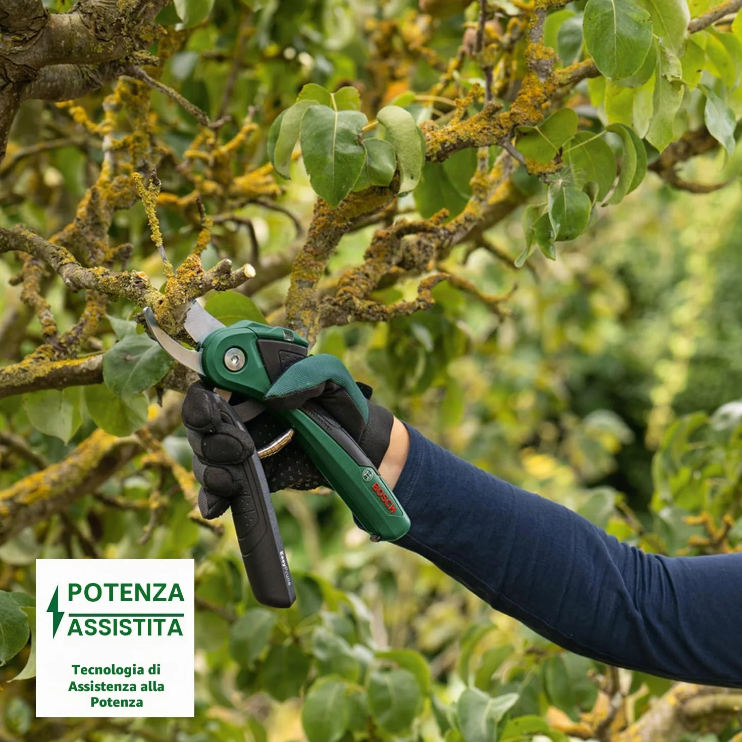 Bosch EasyPrune Nożyce do Przycinania Akumulatorowe 3,6 V 450 Cięć na Ładowanie