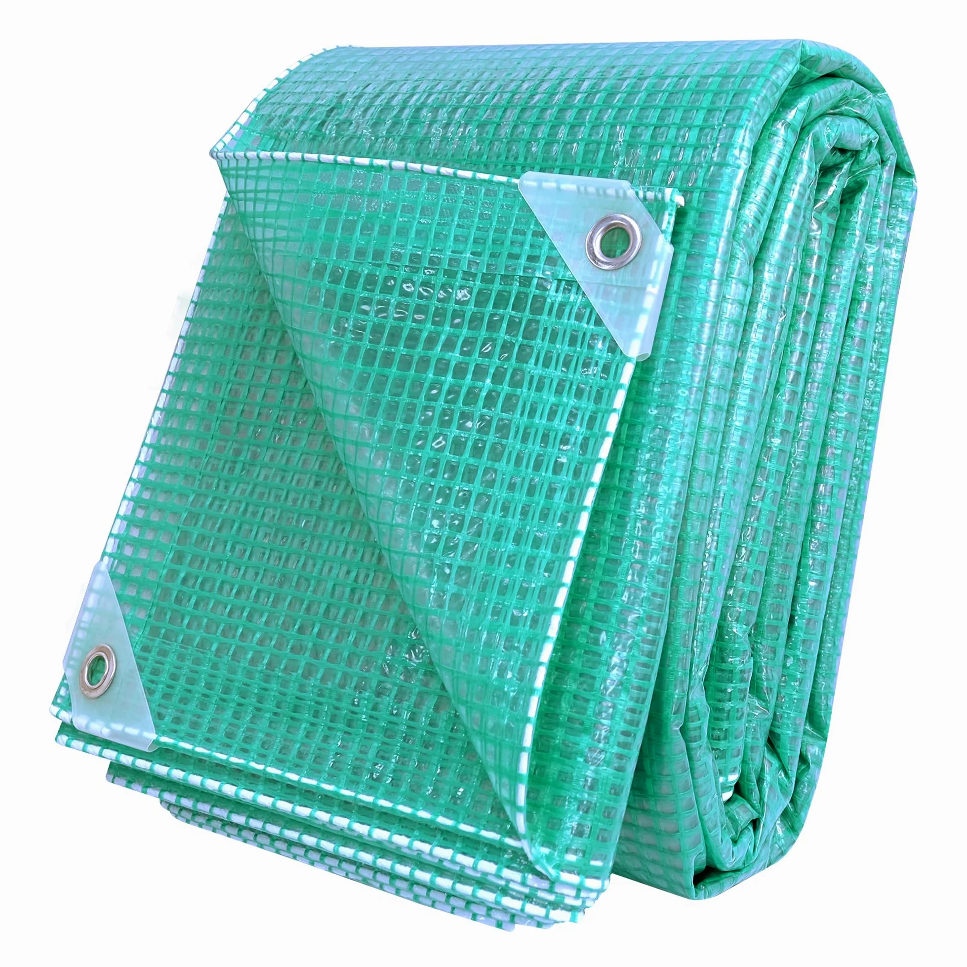 Telone Rinforzato con Occhielli in Metallo, Impermeabile e Antistrappo per Esterno, Giardino e Terrazzo 165g/m² Verde Trasparente 2x10 m
