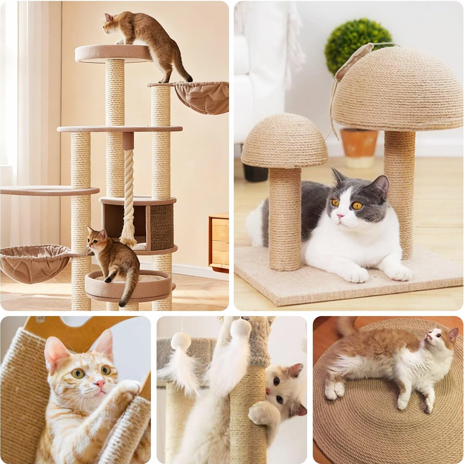 Corda in sisal per tiragraffi, 6 mm x 10 m, per tiragraffi di gatti, fai da te, decorazione per la casa (10 m)