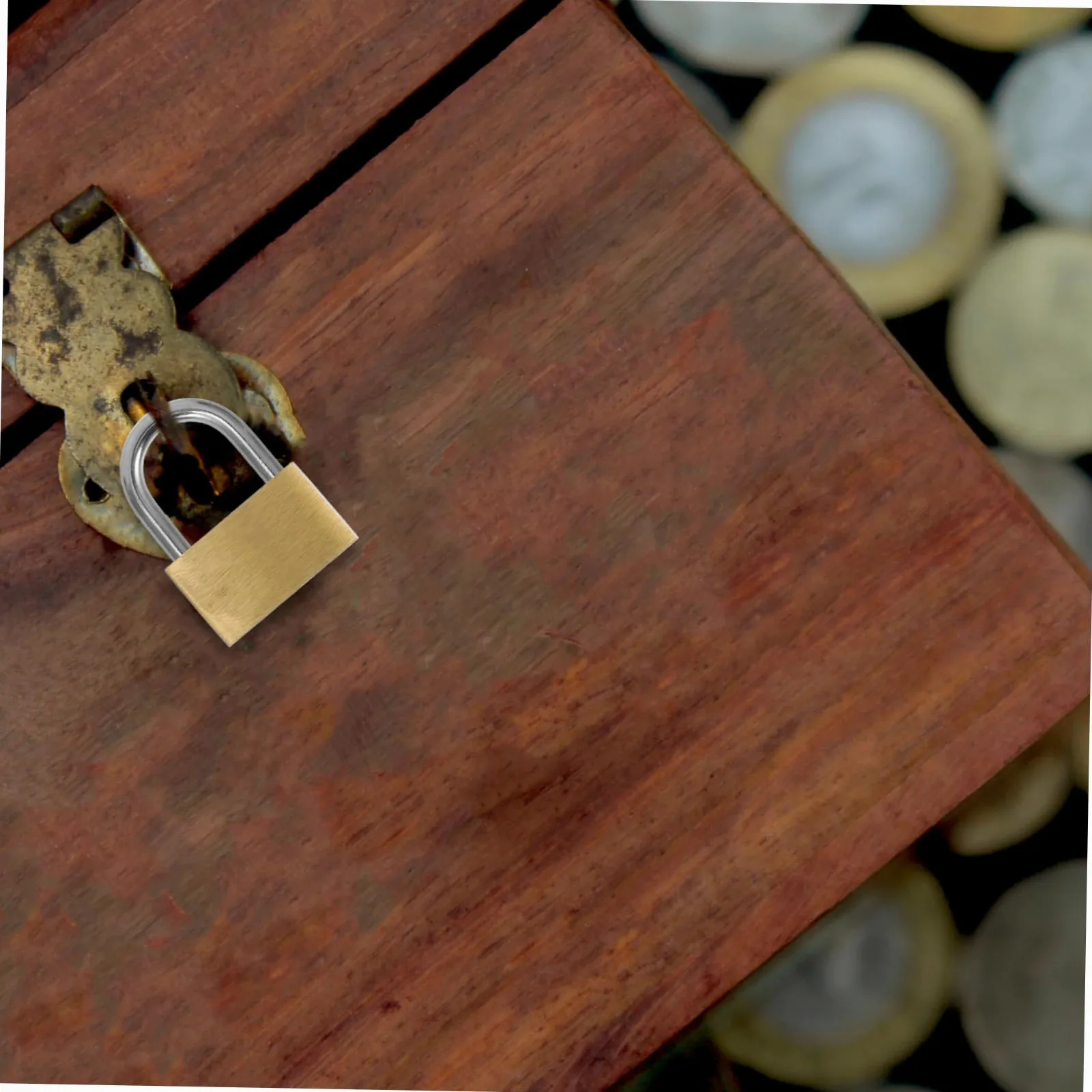 12pezzi Padlock Per Armadietti Stoccaggio e Recinzioni Serrature Chiave Multifunzionale Per Casette