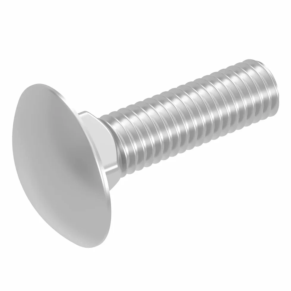 SECCARO Lot de 20 vis de serrage M10 x 40 mm acier inoxydable V2A A2 DIN 603 tête plate ronde
