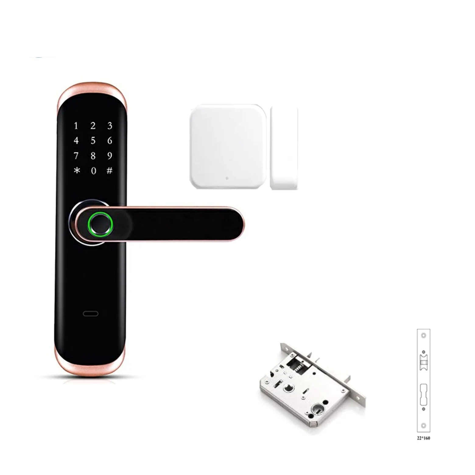 Serratura Smart, Impronta Digitale biometrica Tastiera Digitale Codice di Accesso Senza Chiave Serratura Intelligente con Maniglia(Kit10)