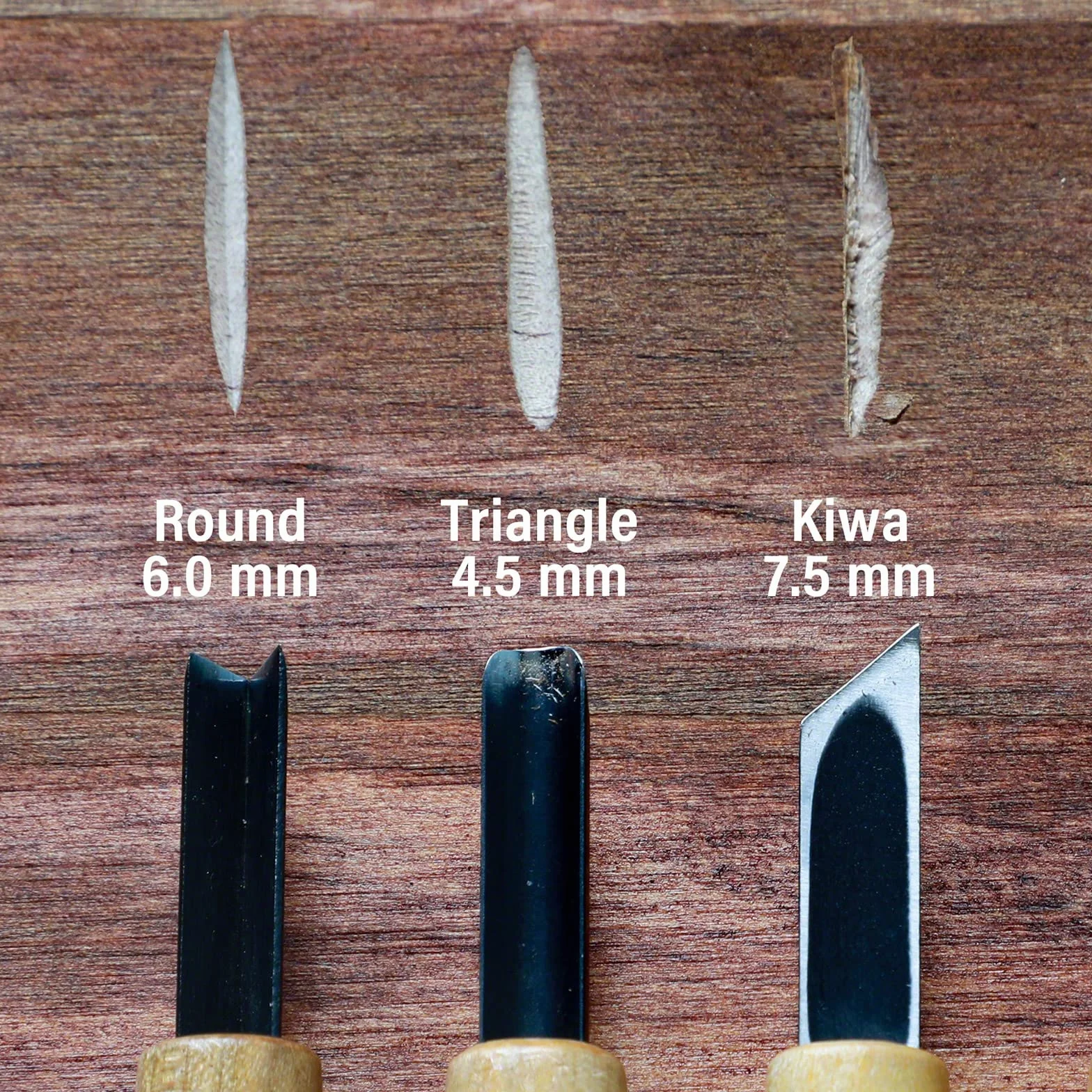 Wazakura Set di Attrezzi per la Creazione di Jin e Shari per Bonsai con Sgorbia Rotonda, Smussato a Singolo Angolo e a V, Lavorazione del Legno (Kit da 3 Pezzi per Jin e Shari per Bonsai)