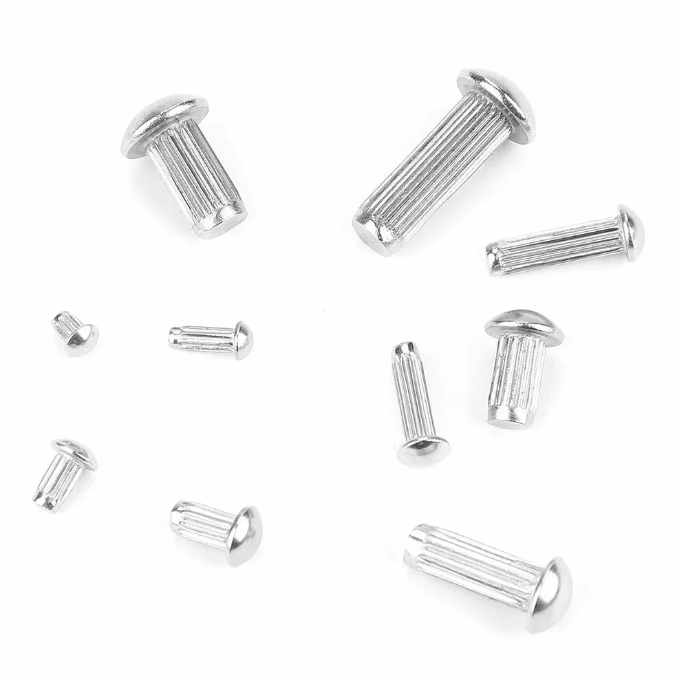 Kit rivetti solidi in acciaio inossidabile M2-M5 160 pezzi testa tonda zigrinato con contenitore