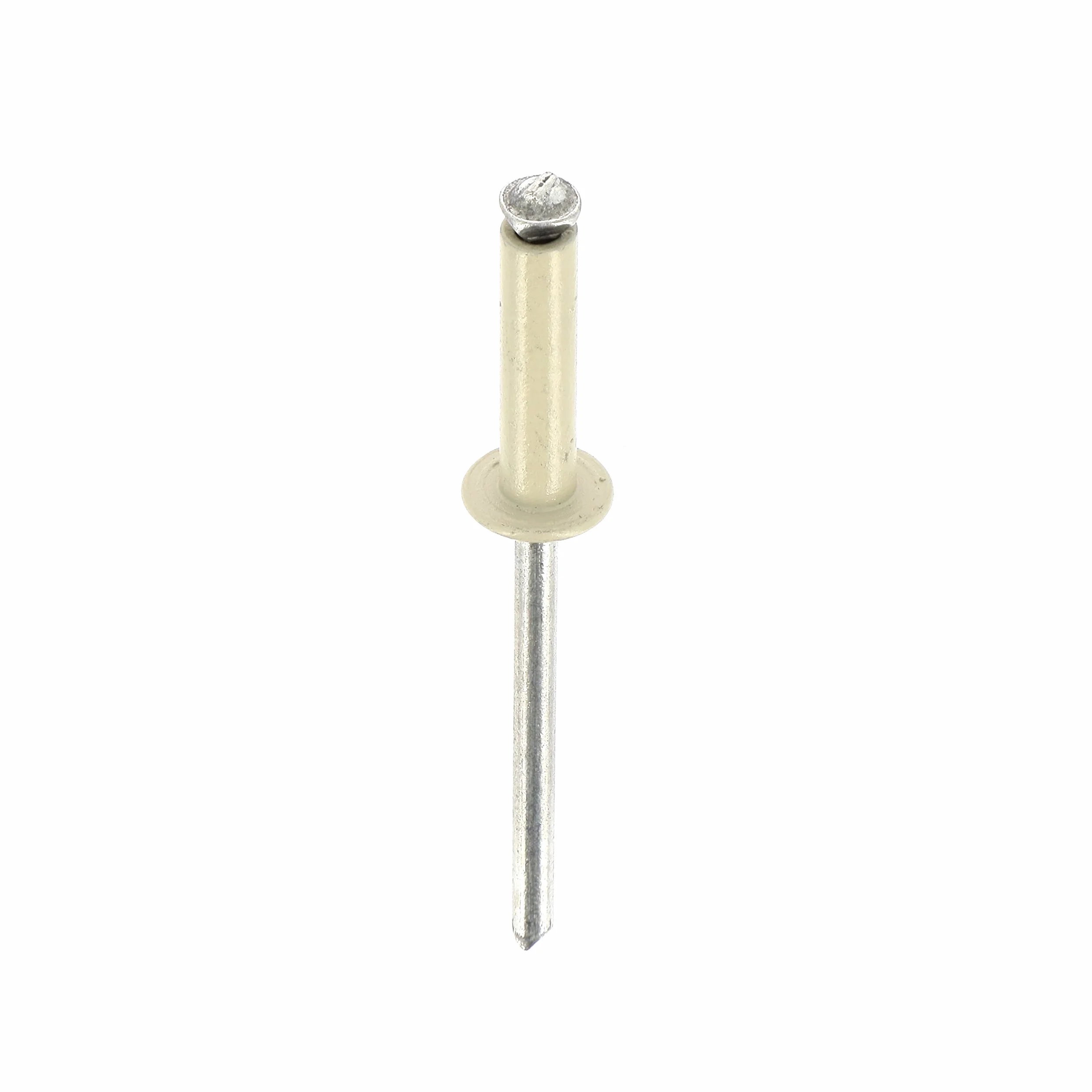 Rivetti Sbocciati Blu Bianchi per Piastre Immatricolazione Diametro 4 mm Lunghezza 26 mm Blister 8