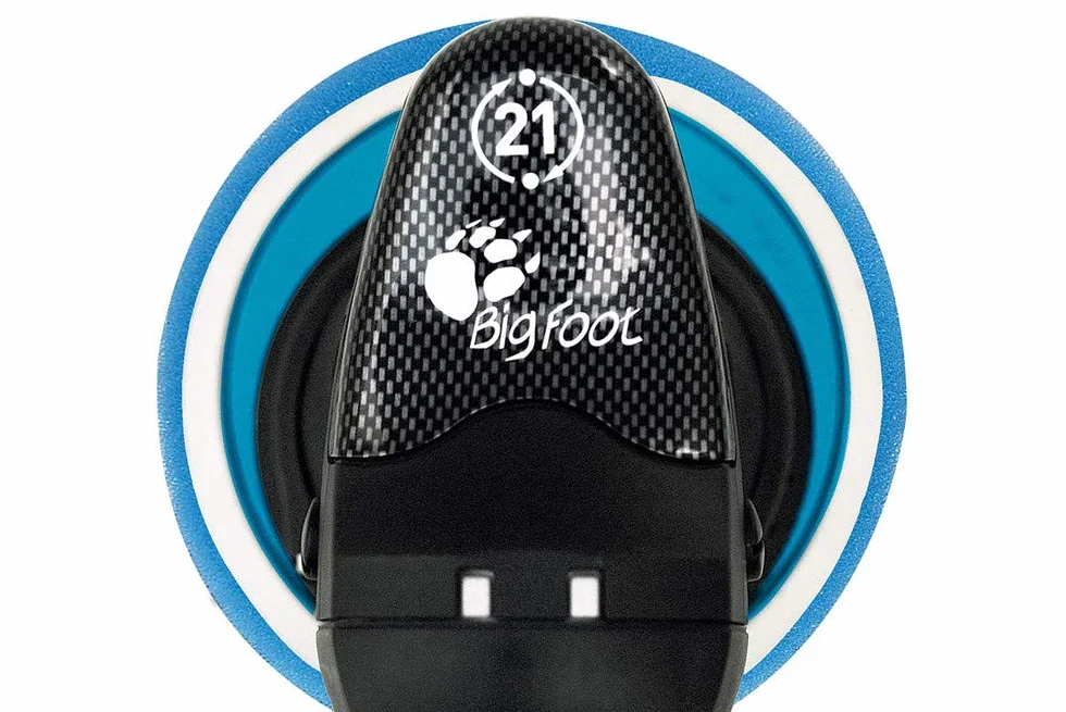 RUPES LHR21E/STD Lucidatrice Rotorbitale BigFoot