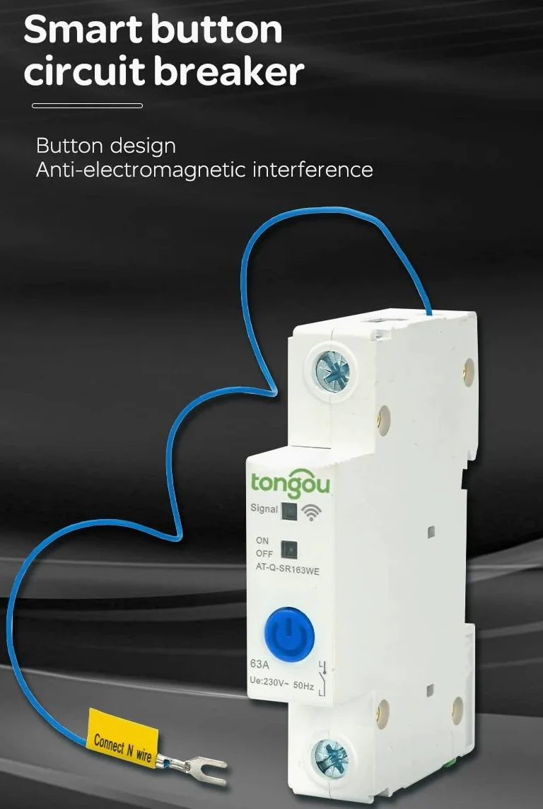 Interruttore Magnetotermico Differenziale Interruttore intelligente for interruttore automatico su guida DIN 2P 63A da Smart Home con protezione dalle perdite(16A)