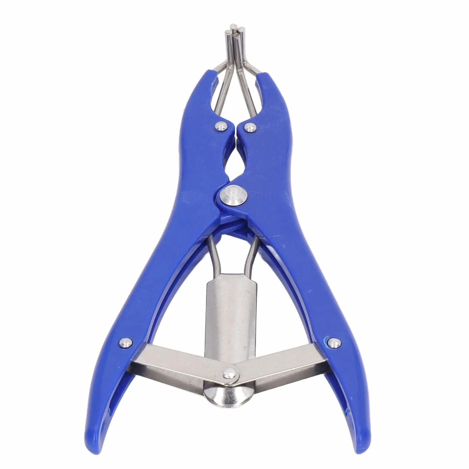 Kit Professionale per Castrazione 1 Pinza Elastrator in Plastica Durevole 100 Anelli Elastici di Gomma Rossa per Ovini Caprini Suinetti