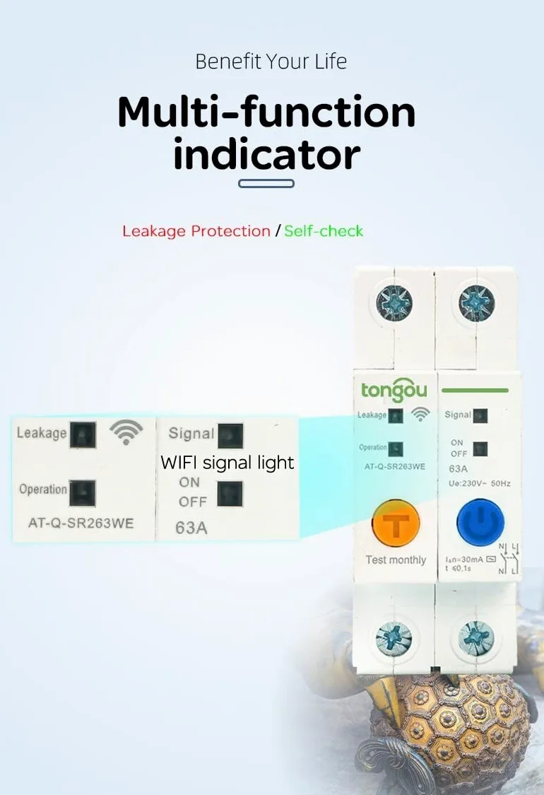 Interruttore Magnetotermico Differenziale Interruttore intelligente for interruttore automatico su guida DIN 2P 63A da Smart Home con protezione dalle perdite(16A)