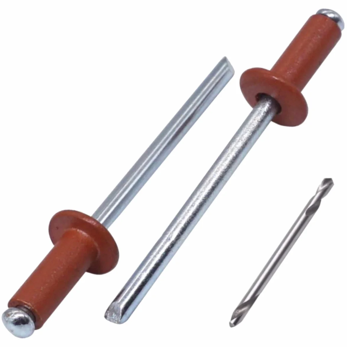 SKIR'CO Rivetti ciechi verniciati 4,0 x 10 mm, Rivetti Pop alluminio, punta trapano inclusa, 100 pz